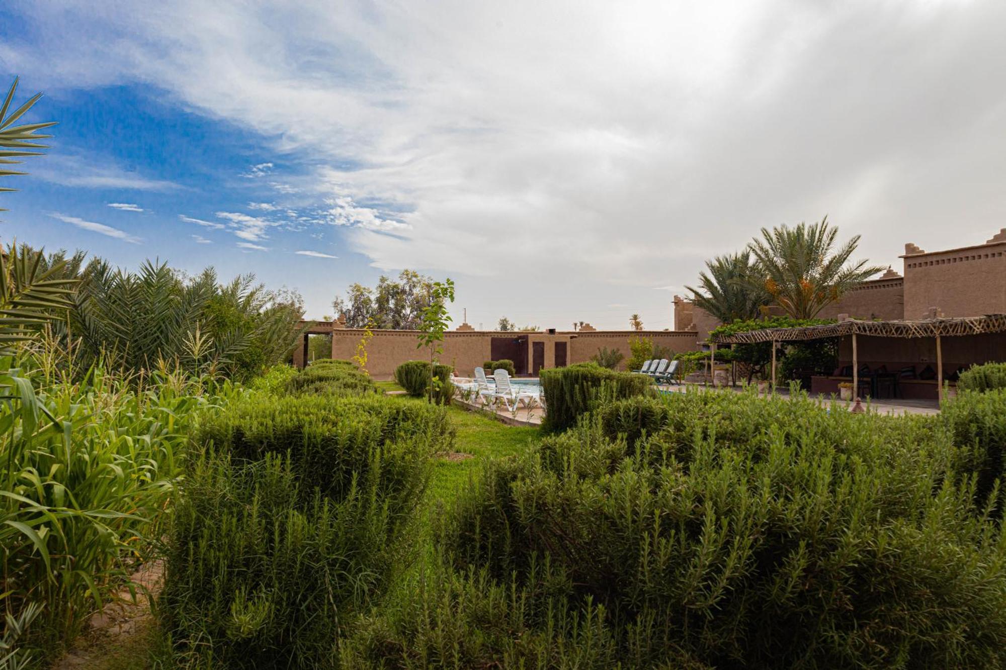 Maison D'Hote Amridil Skoura Exteriér fotografie