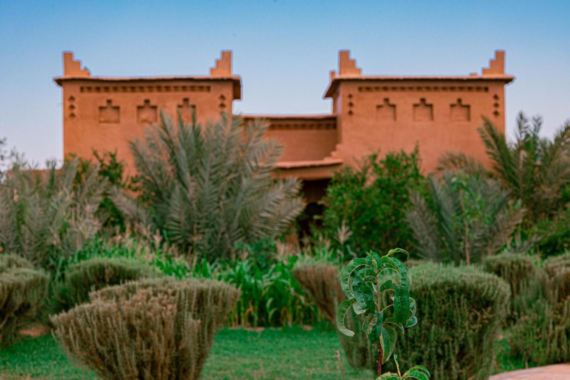 Maison D'Hote Amridil Skoura Exteriér fotografie