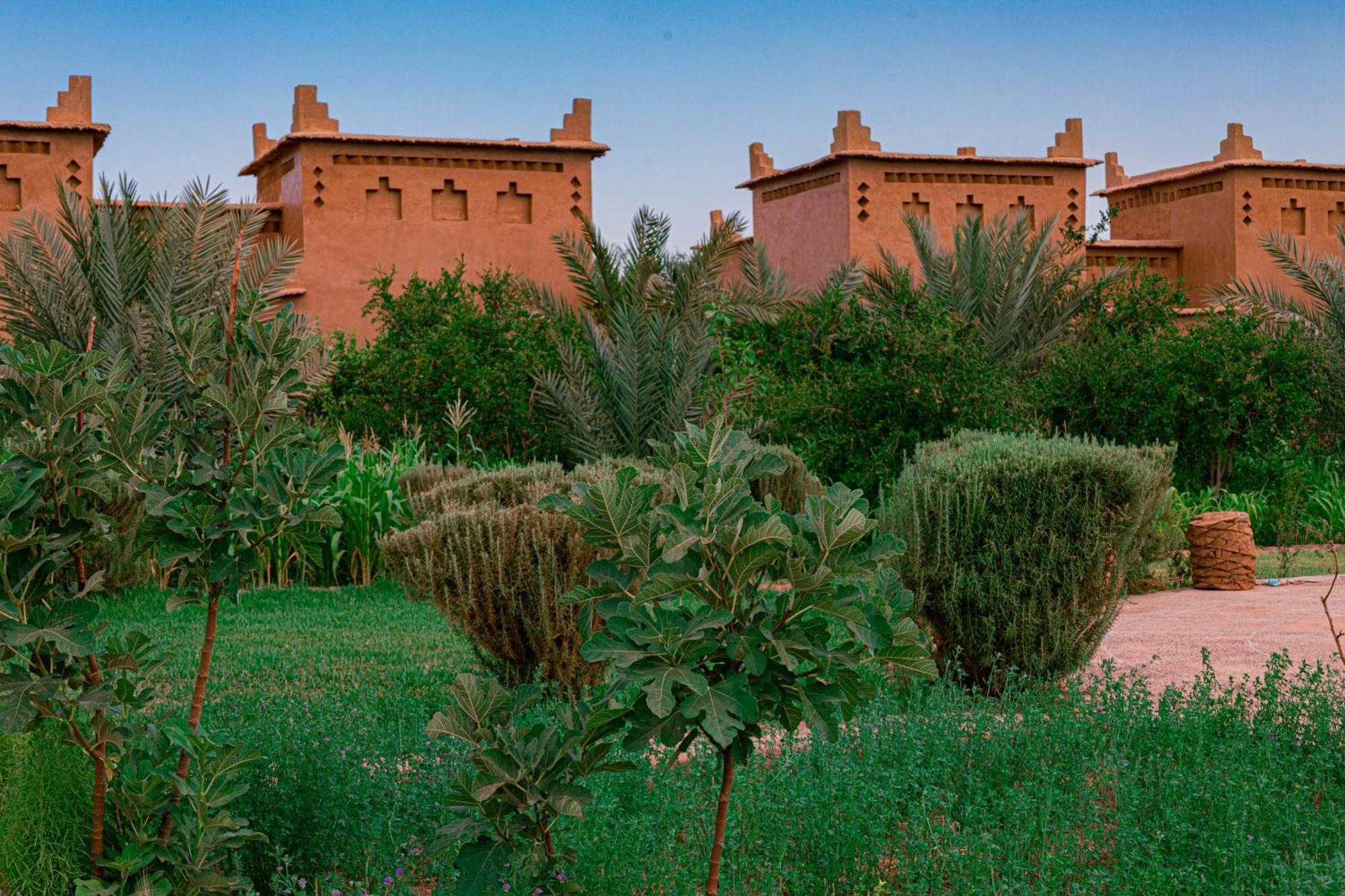 Maison D'Hote Amridil Skoura Exteriér fotografie